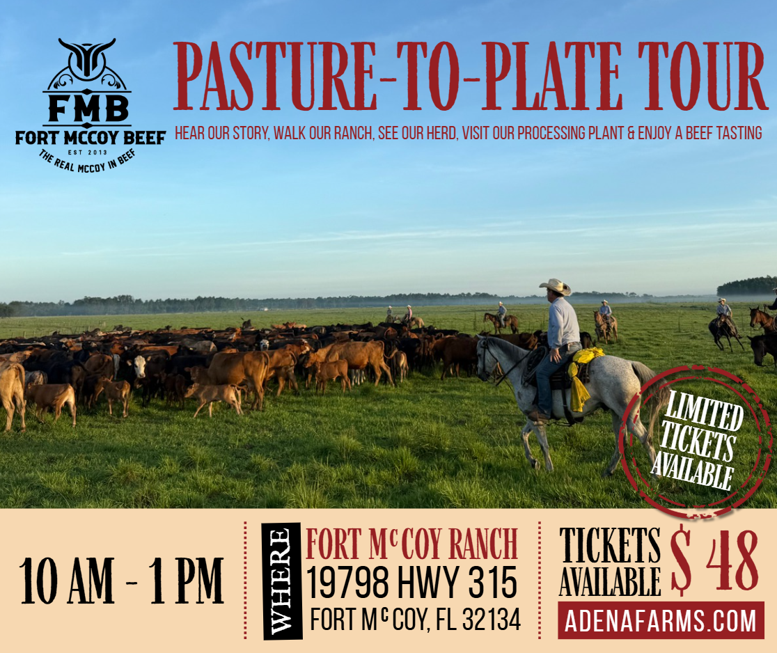 Go Behind the Scenes, Tour Our Ranch