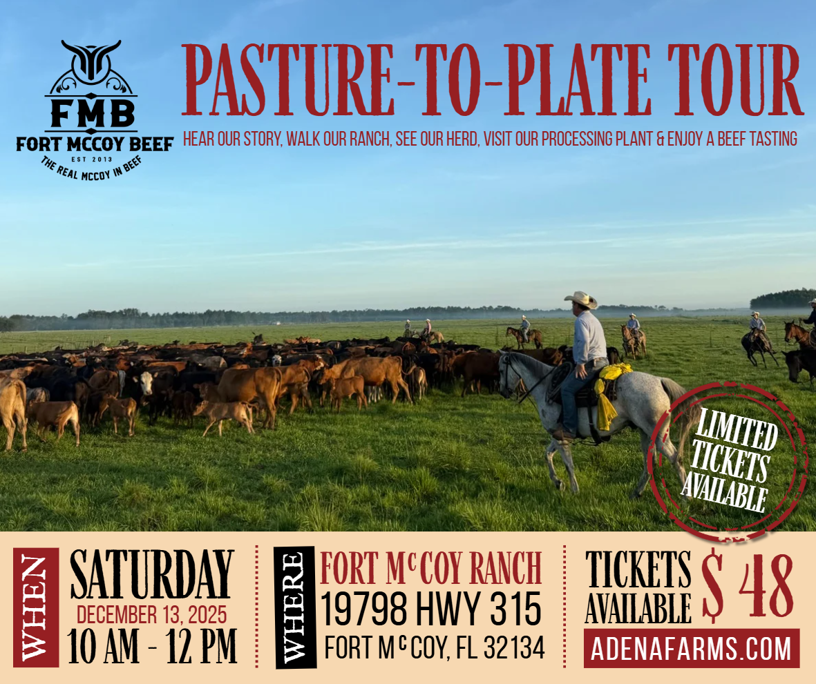 Go Behind the Scenes, Tour Our Ranch