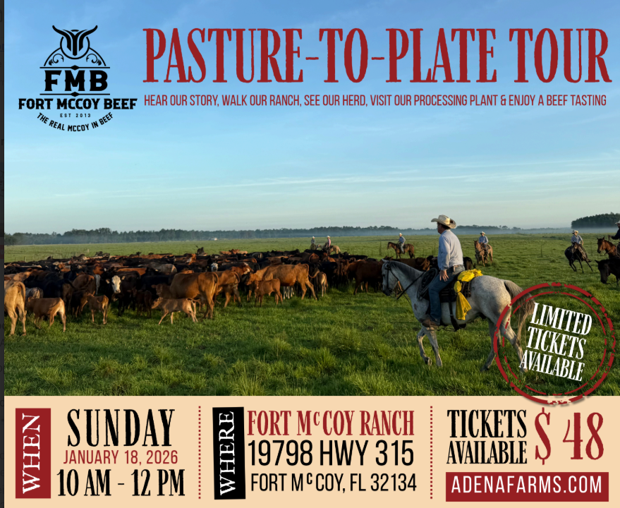 Go Behind the Scenes, Tour Our Ranch