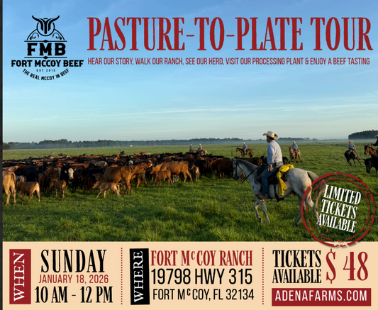 Go Behind the Scenes, Tour Our Ranch