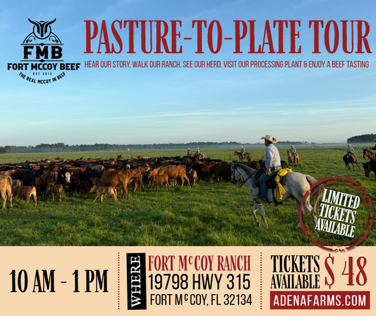 Go Behind the Scenes, Tour Our Ranch