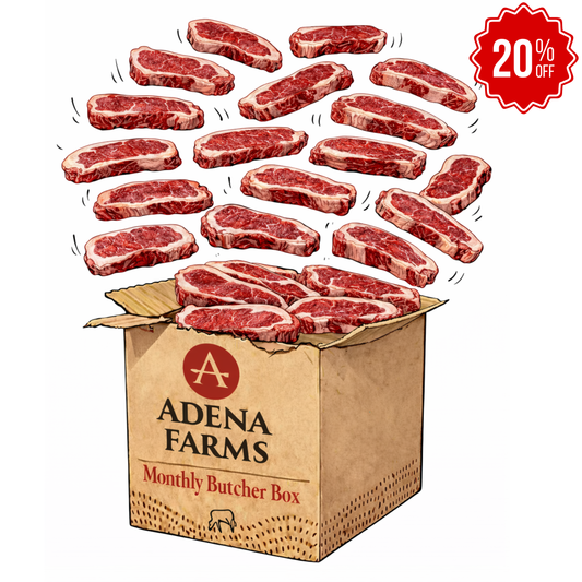 24 NY Strip Steak Bundle